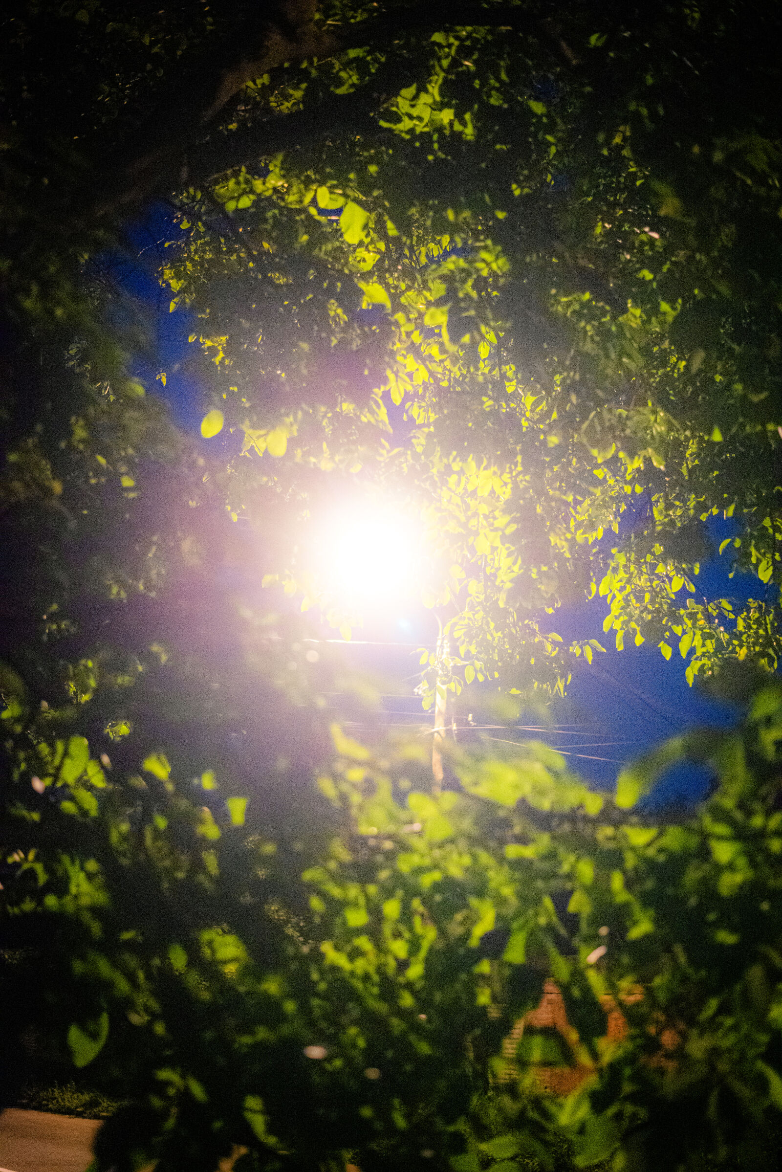 Nikon D750 + Nikon AF-S Nikkor 50mm F1.8G sample photo
