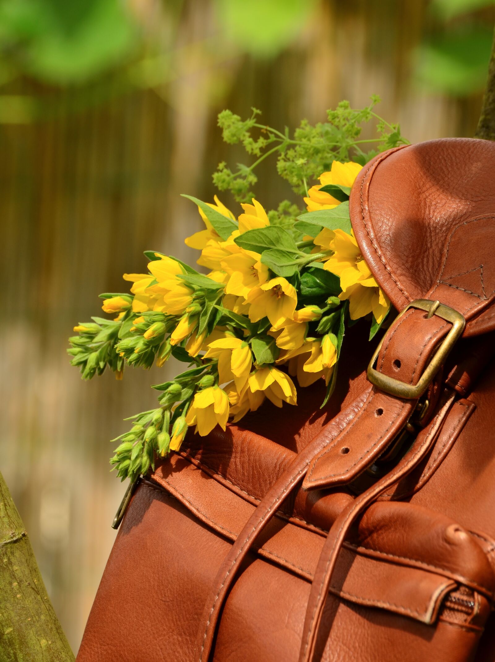 Nikon D5100 sample photo. Backpack, brown leather, closure photography