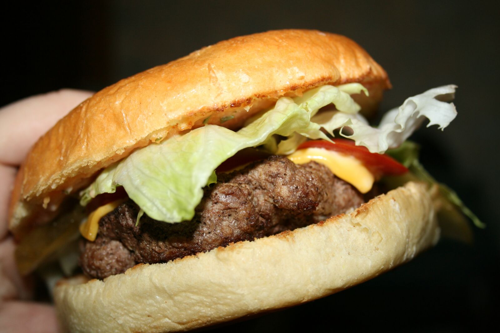 Canon EOS 400D (EOS Digital Rebel XTi / EOS Kiss Digital X) sample photo. Burger, hamburger, food photography