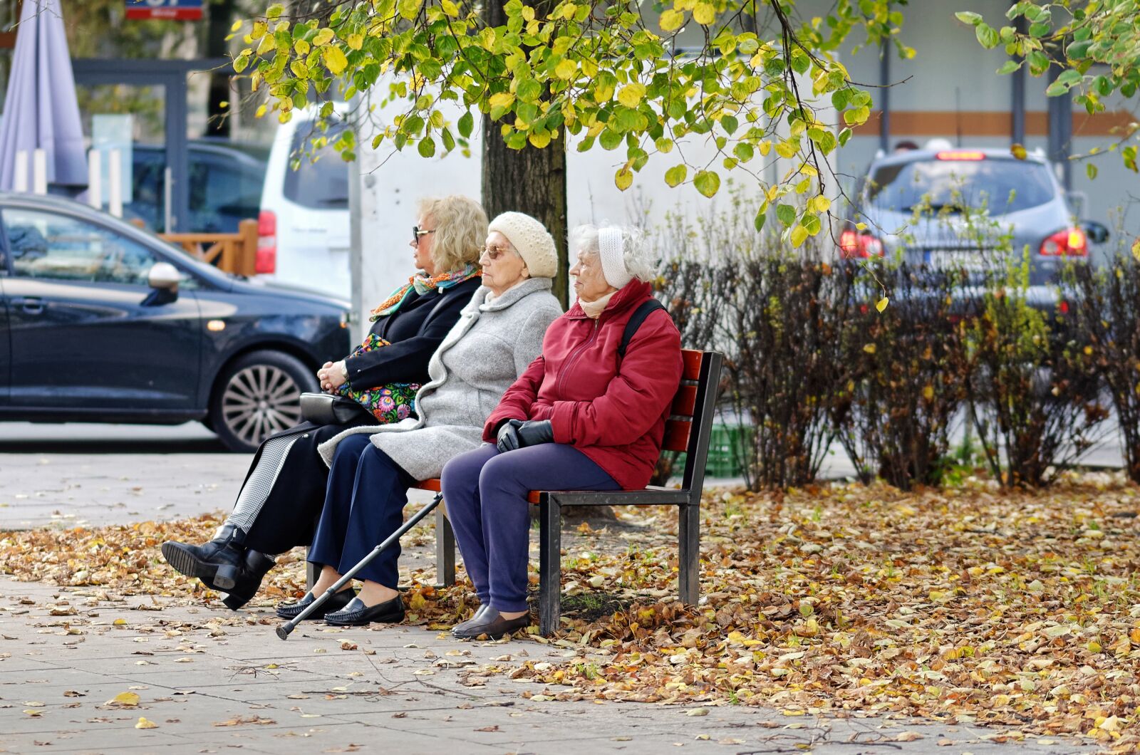 Nikon D5100 sample photo. Women, old, oh my photography