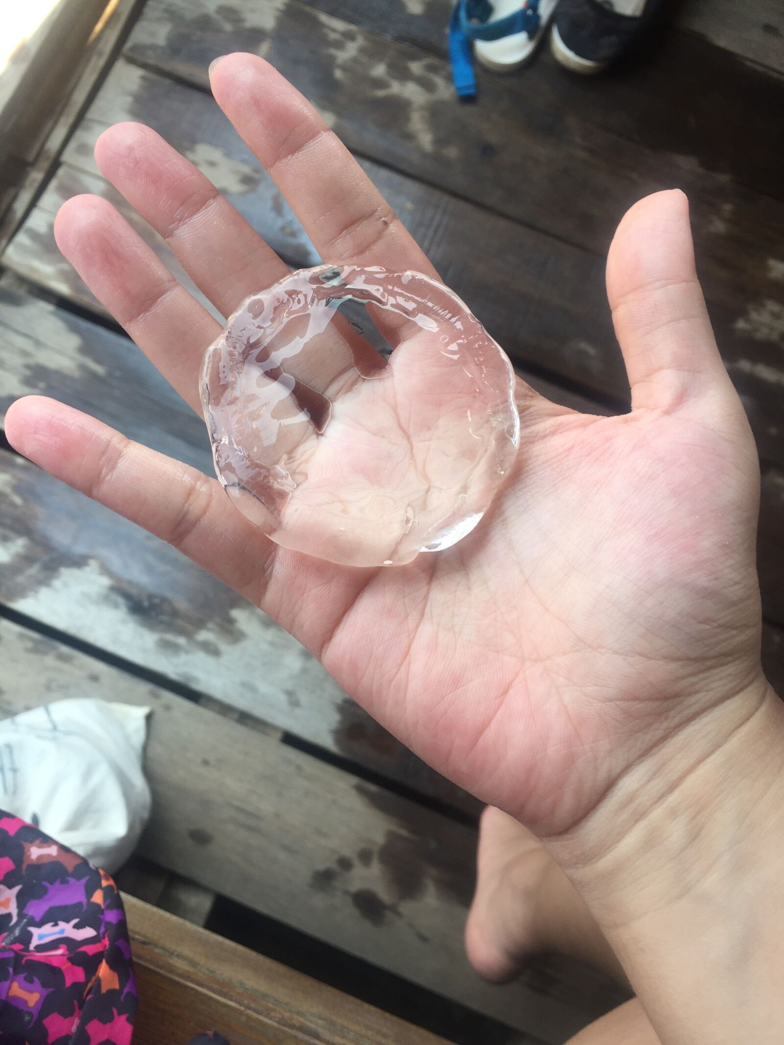 Apple iPhone 6 sample photo. Hand, jellyfish, clear photography