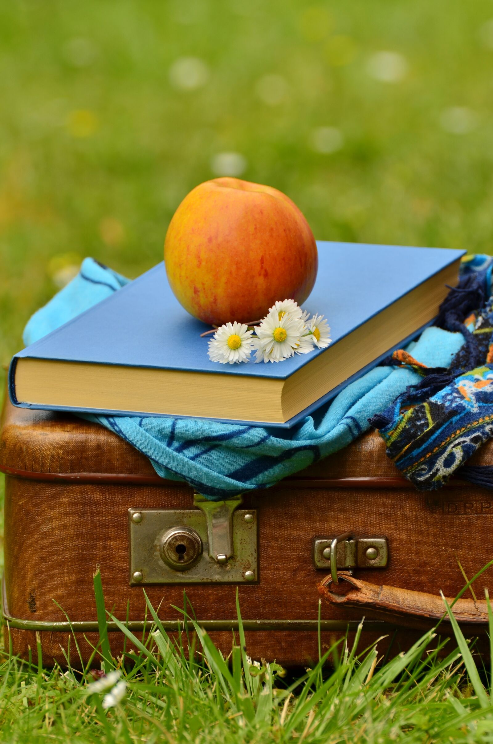 Nikon D5100 sample photo. Luggage, old, leather suitcase photography