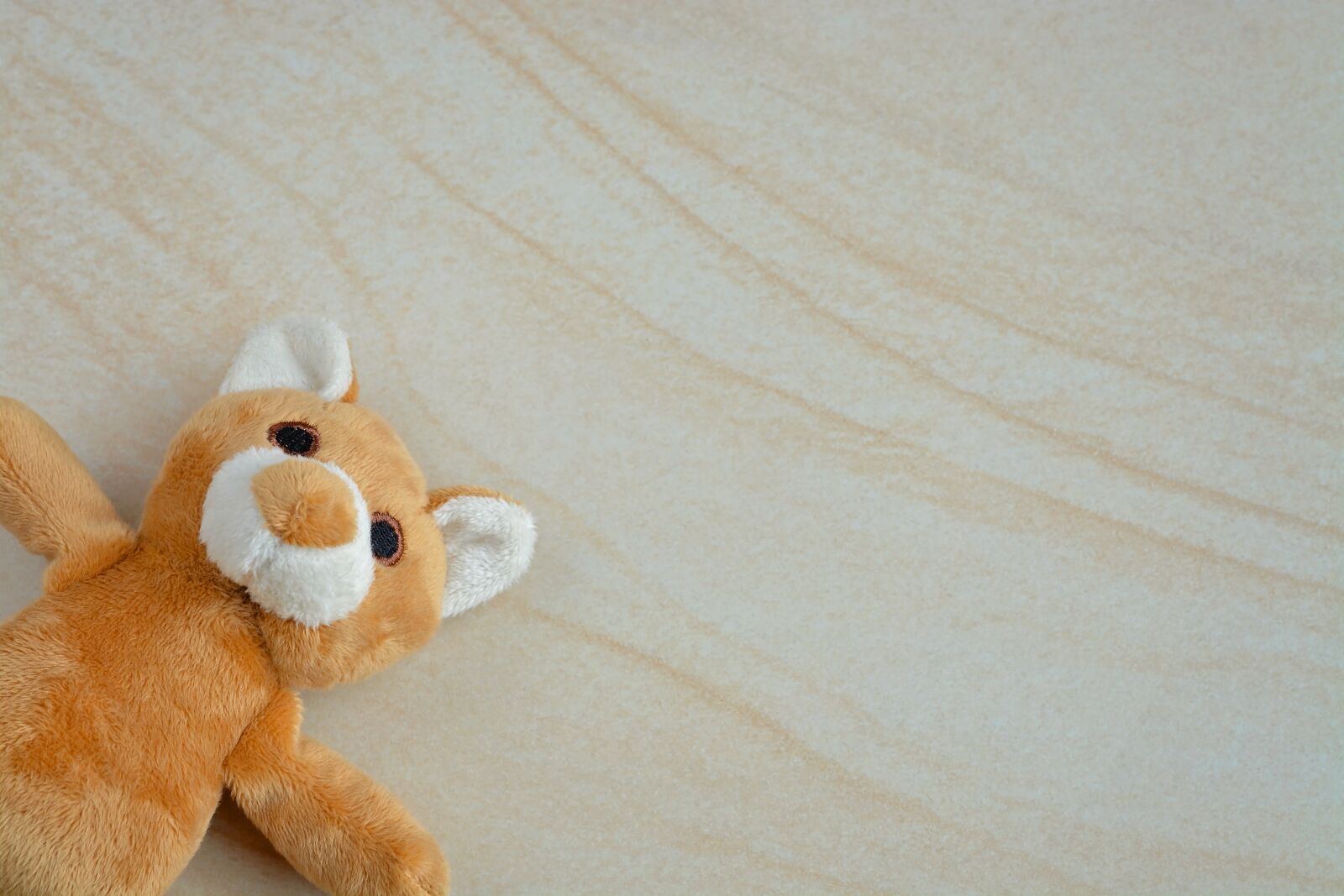 Nikon D7100 sample photo. Teddy, teddy bear, small photography