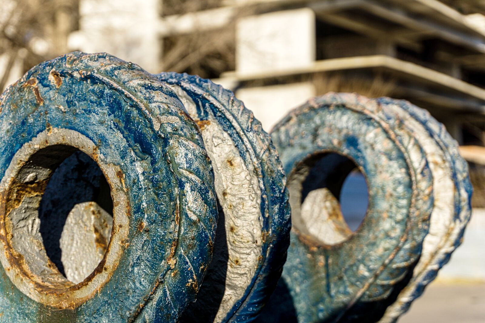 Sony a6000 sample photo. Iron, rust, plant photography