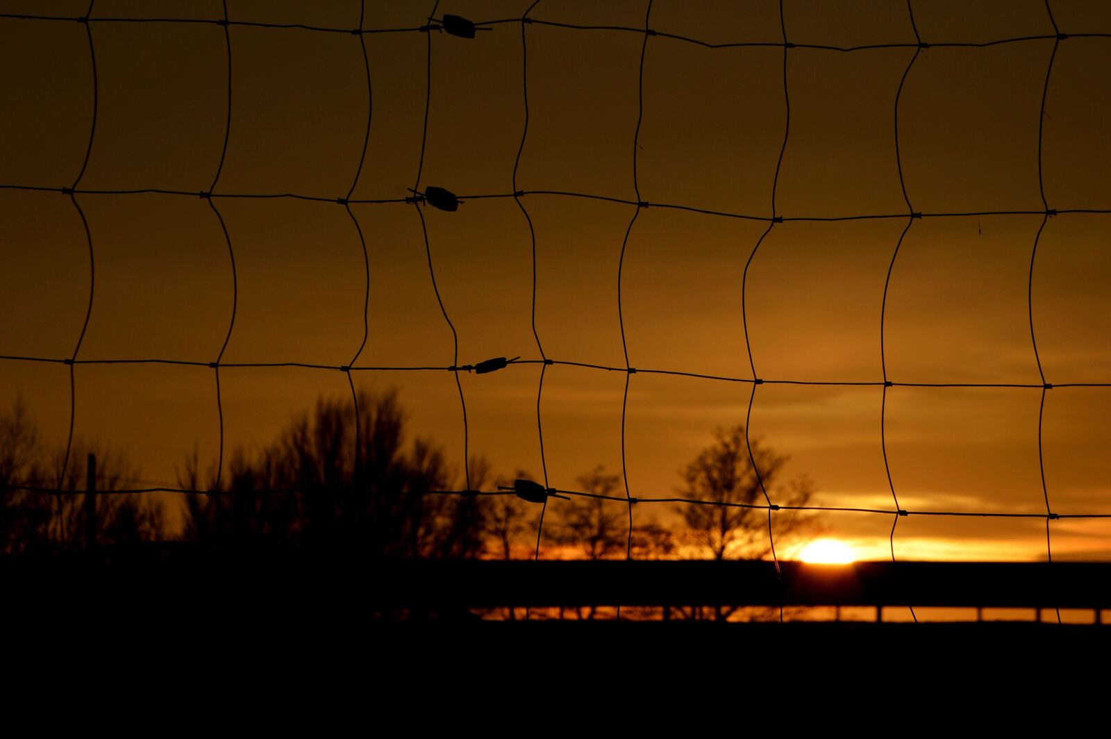 Nikon D3200 sample photo. The fence, fencing, sky photography