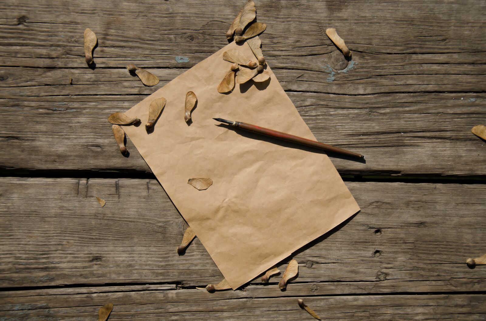 Nikon D7000 sample photo. Old, paper, pen photography