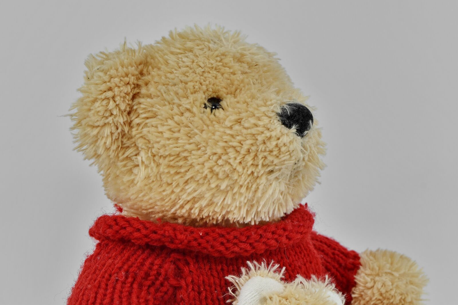 Nikon D5500 sample photo. Knitwear, plush, side view photography
