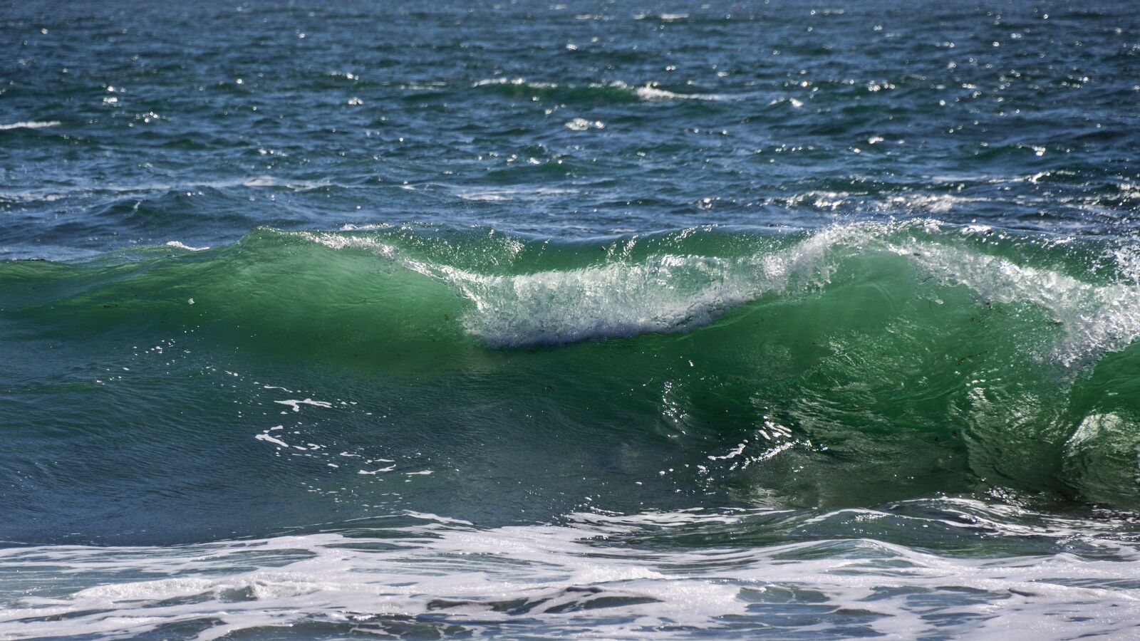 Nikon D500 sample photo. Sea, wave, scum photography