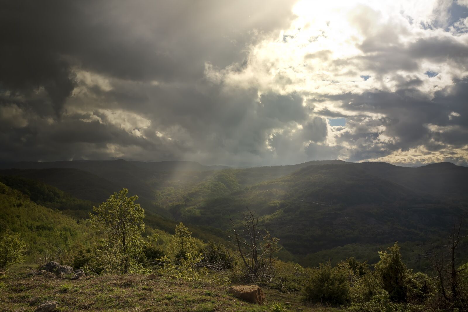 Tamron SP 24-70mm F2.8 Di VC USD sample photo. Fields, country, sunrays photography