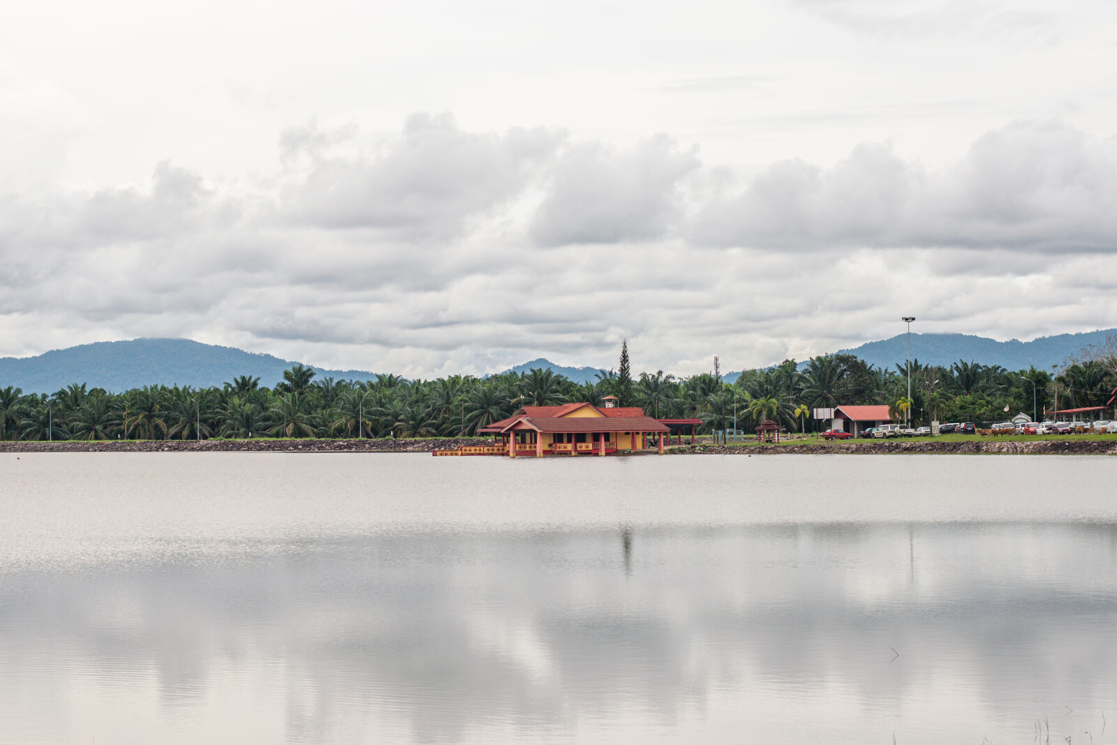 Nikon D610 sample photo