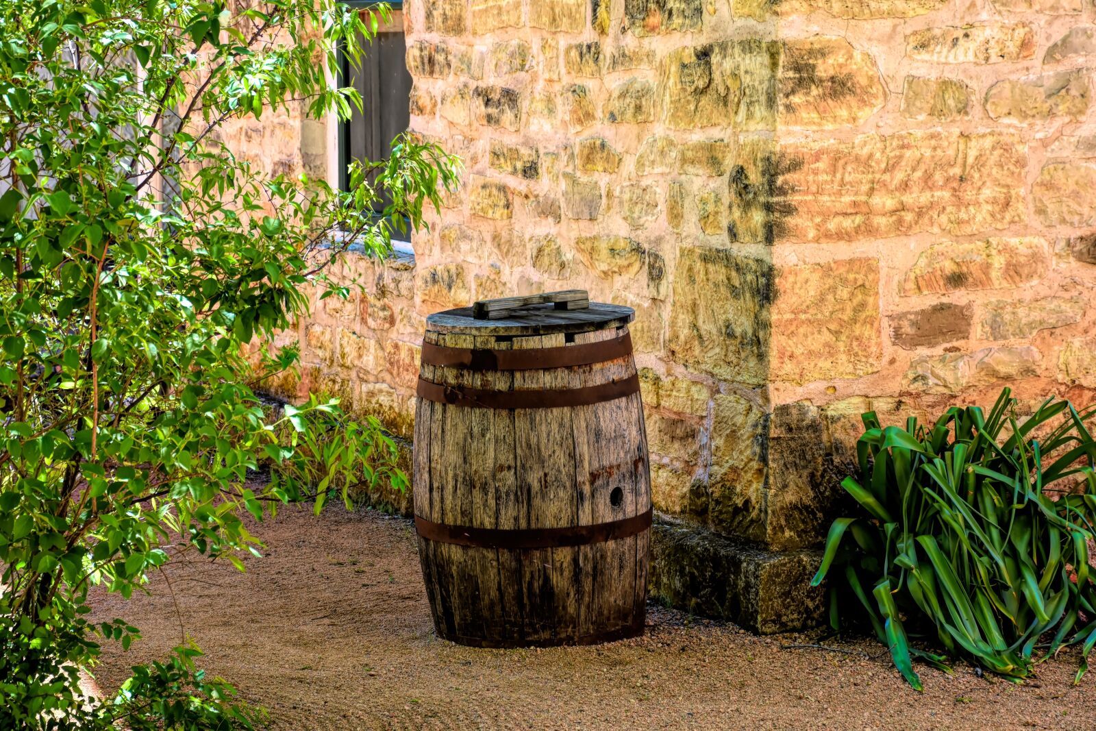 Nikon D5500 sample photo. Barrel, vintage, wood photography