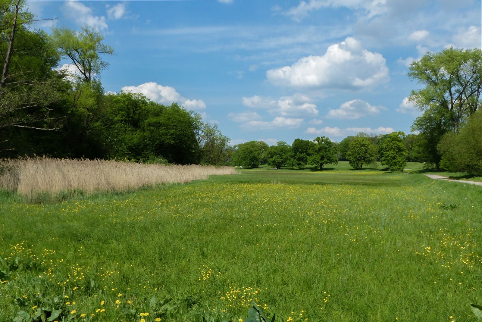 Panasonic Lumix DMC-FZ200 sample photo. Grass, nature, landscape photography