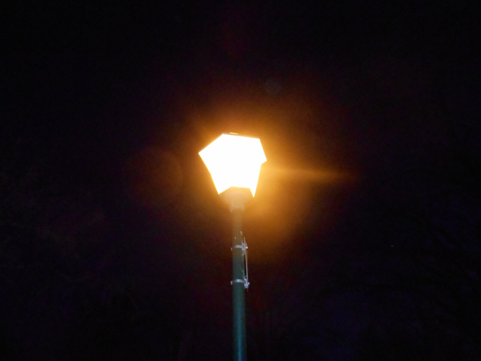 Nikon Coolpix S3500 sample photo. Black, and, white, jaune photography