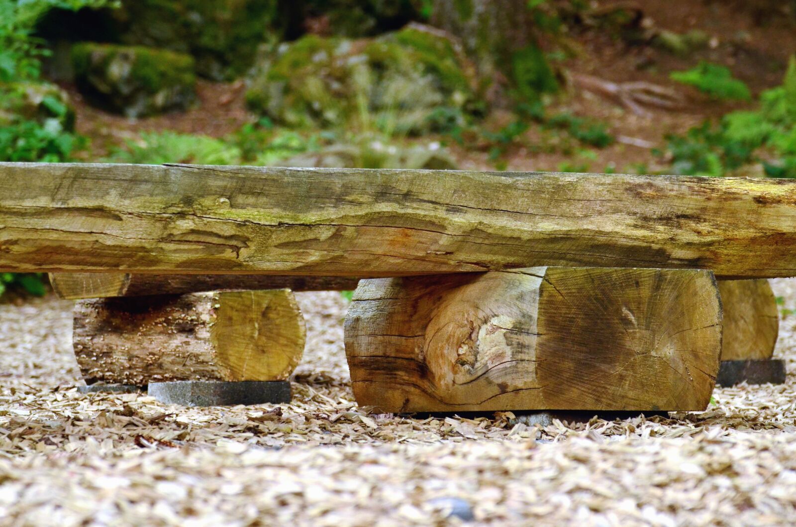 Nikon D5100 sample photo. Tree, bench, nature, stone photography