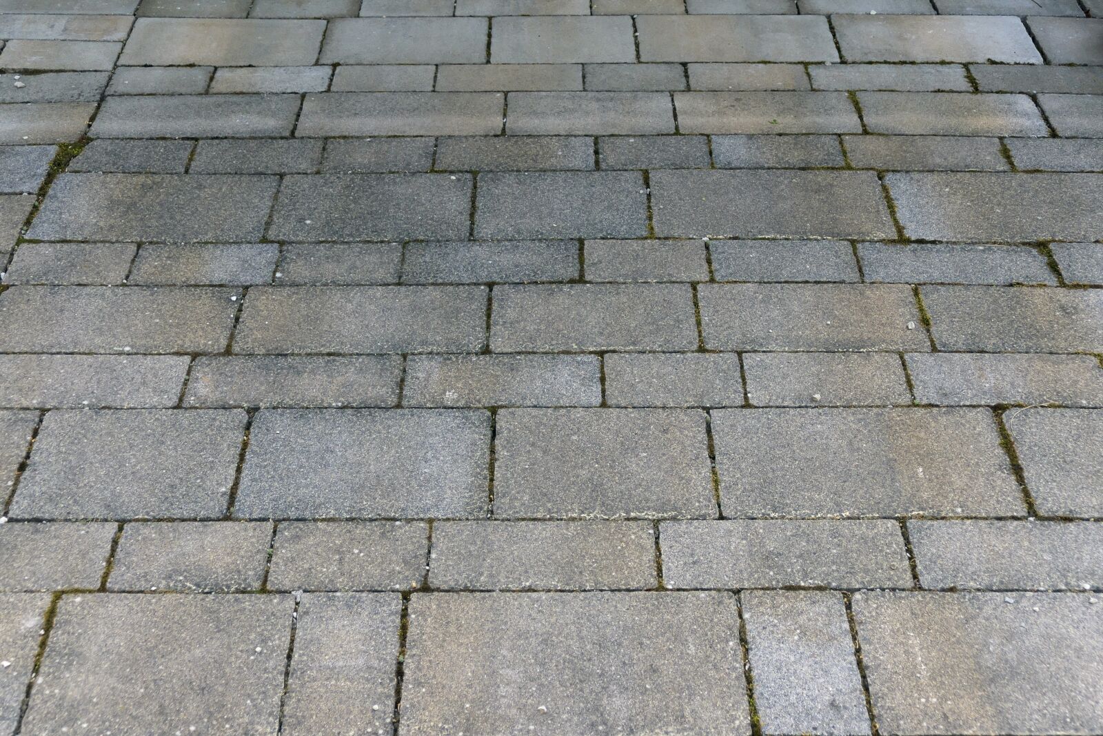 Panasonic Lumix DMC-FZ1000 sample photo. Patch, flooring, paving stones photography
