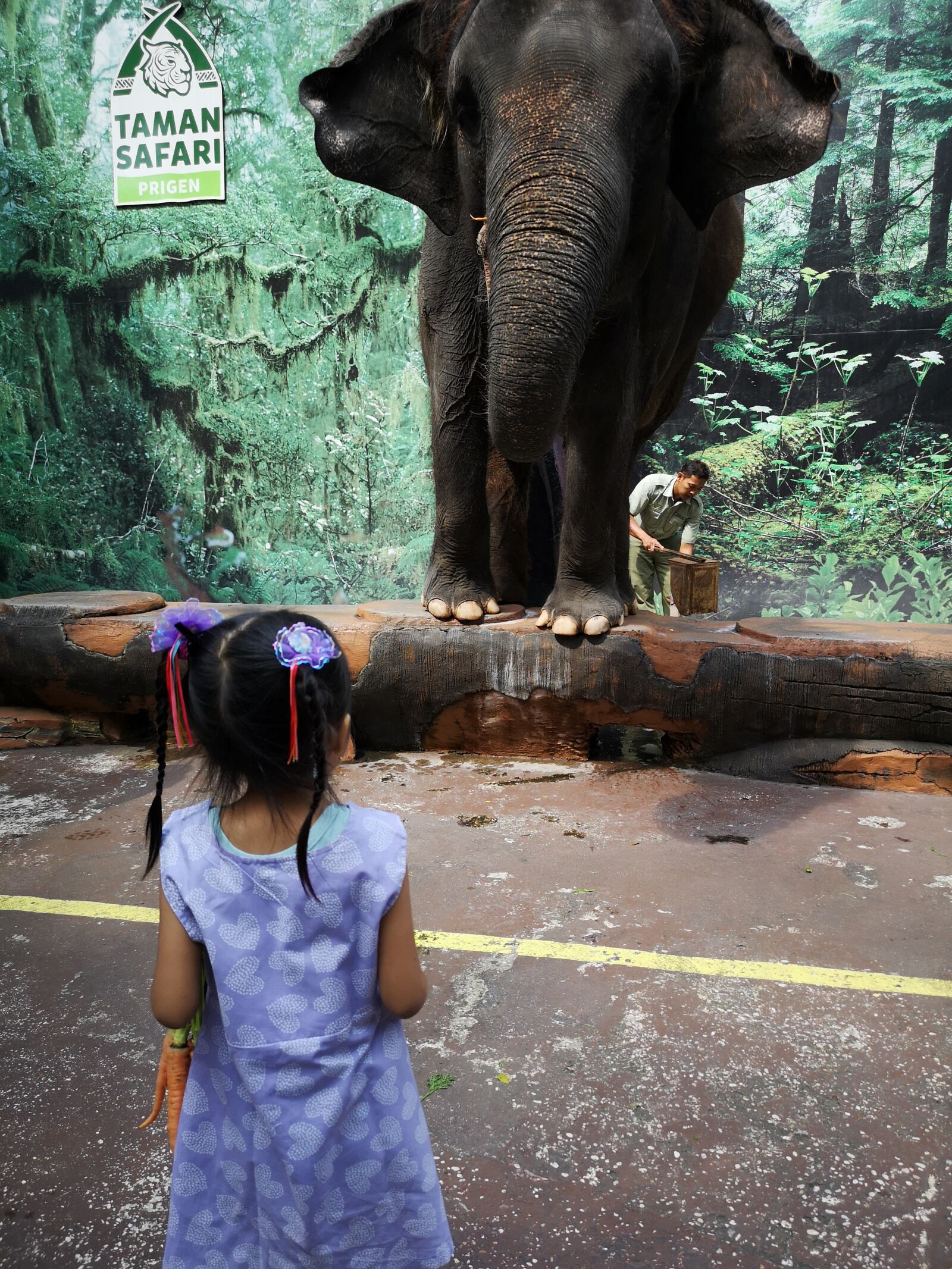 HUAWEI CLT-L29 sample photo. Kid, elephant, child photography