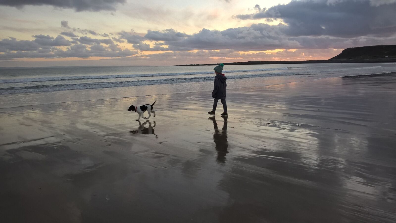 Microsoft Lumia 640 LTE sample photo. Beach, walking, dog photography