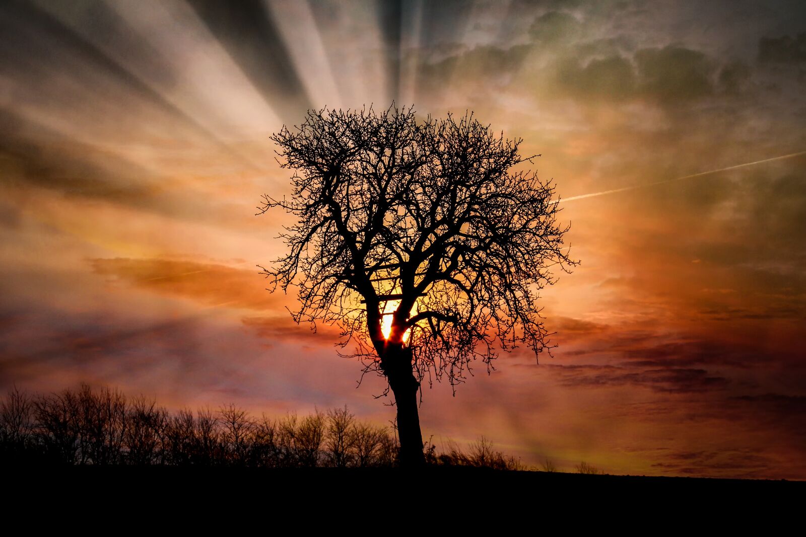 Canon EOS 750D (EOS Rebel T6i / EOS Kiss X8i) sample photo. Dawn, sunset, tree photography