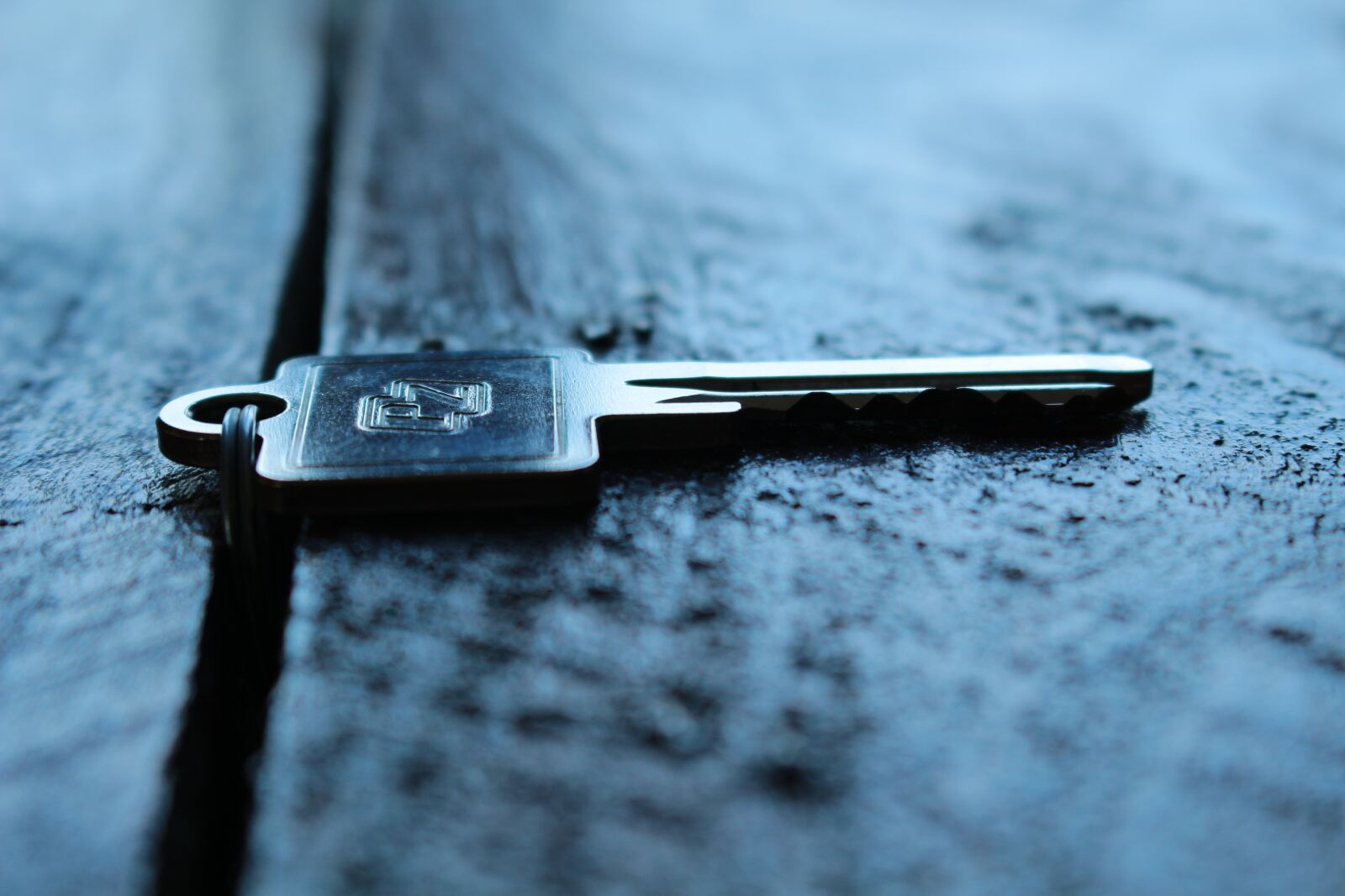 Canon EOS 100D (EOS Rebel SL1 / EOS Kiss X7) sample photo. Key, small key, key photography