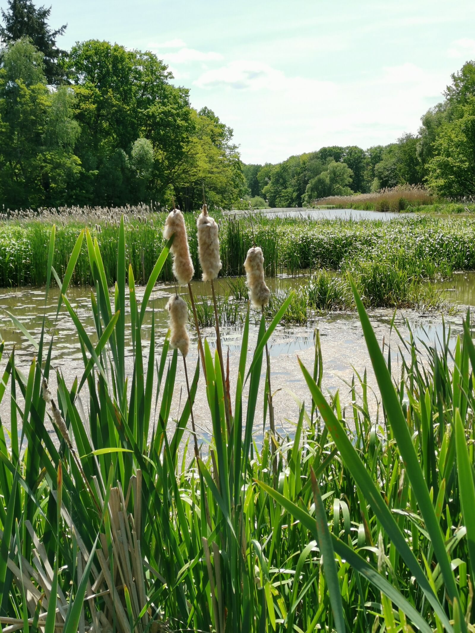 HUAWEI LYA-L29 sample photo. Nature, lake, landscape photography