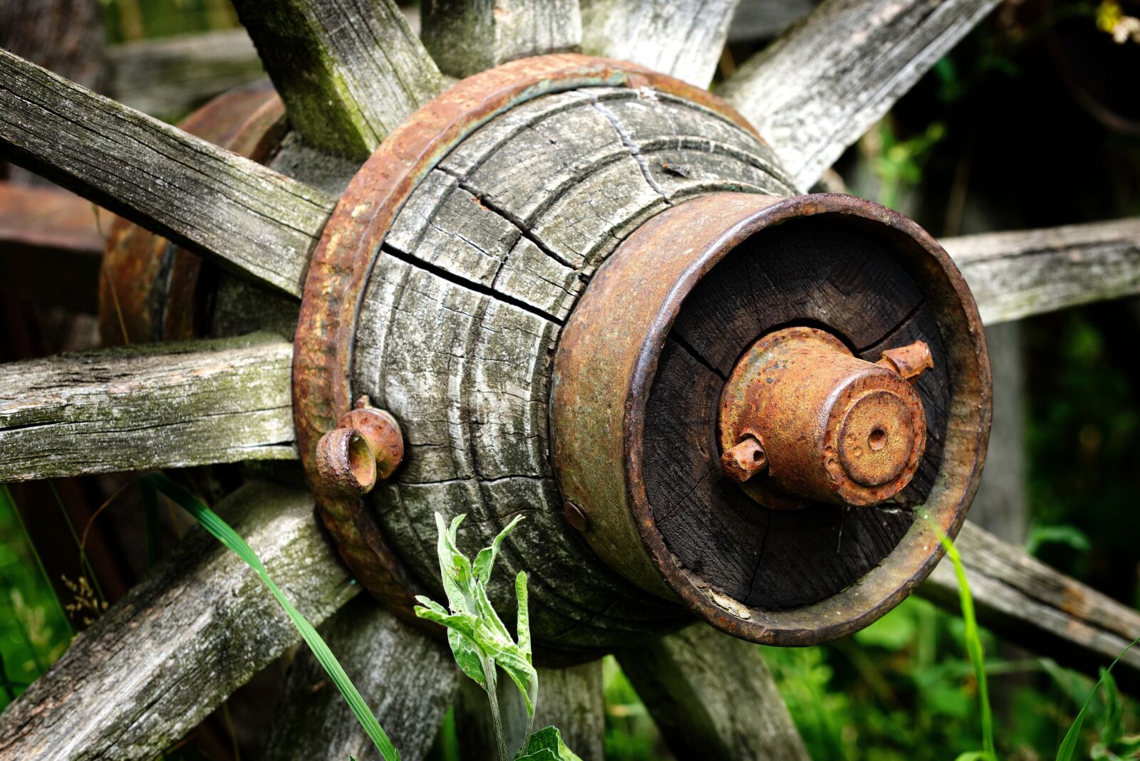 Fujifilm X-T2 + Fujifilm XF 80mm F2.8 R LM OIS WR Macro sample photo. Old wagon wheel, wooden photography