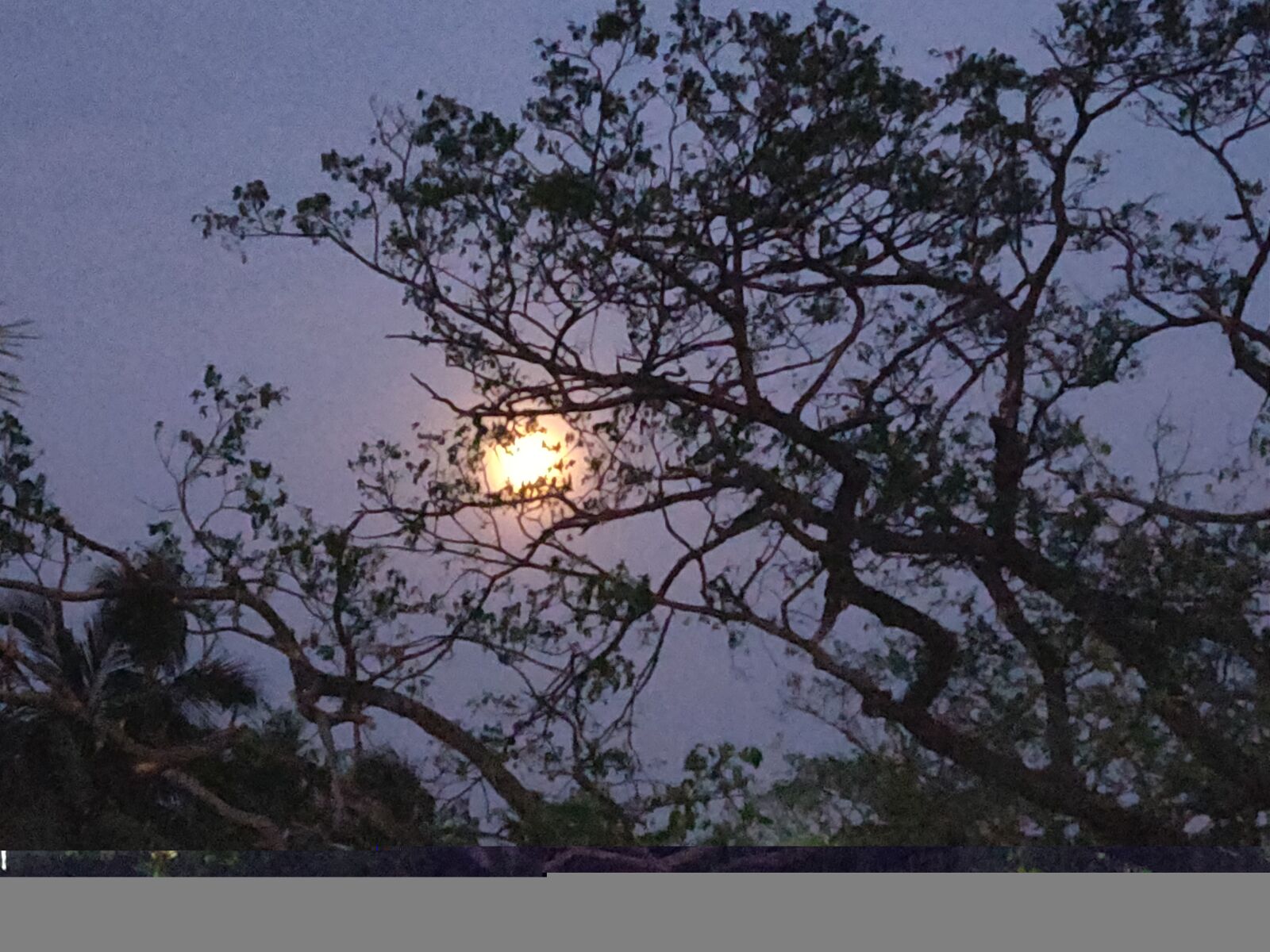 OnePlus A6000 sample photo. Moon, lit night, moon photography