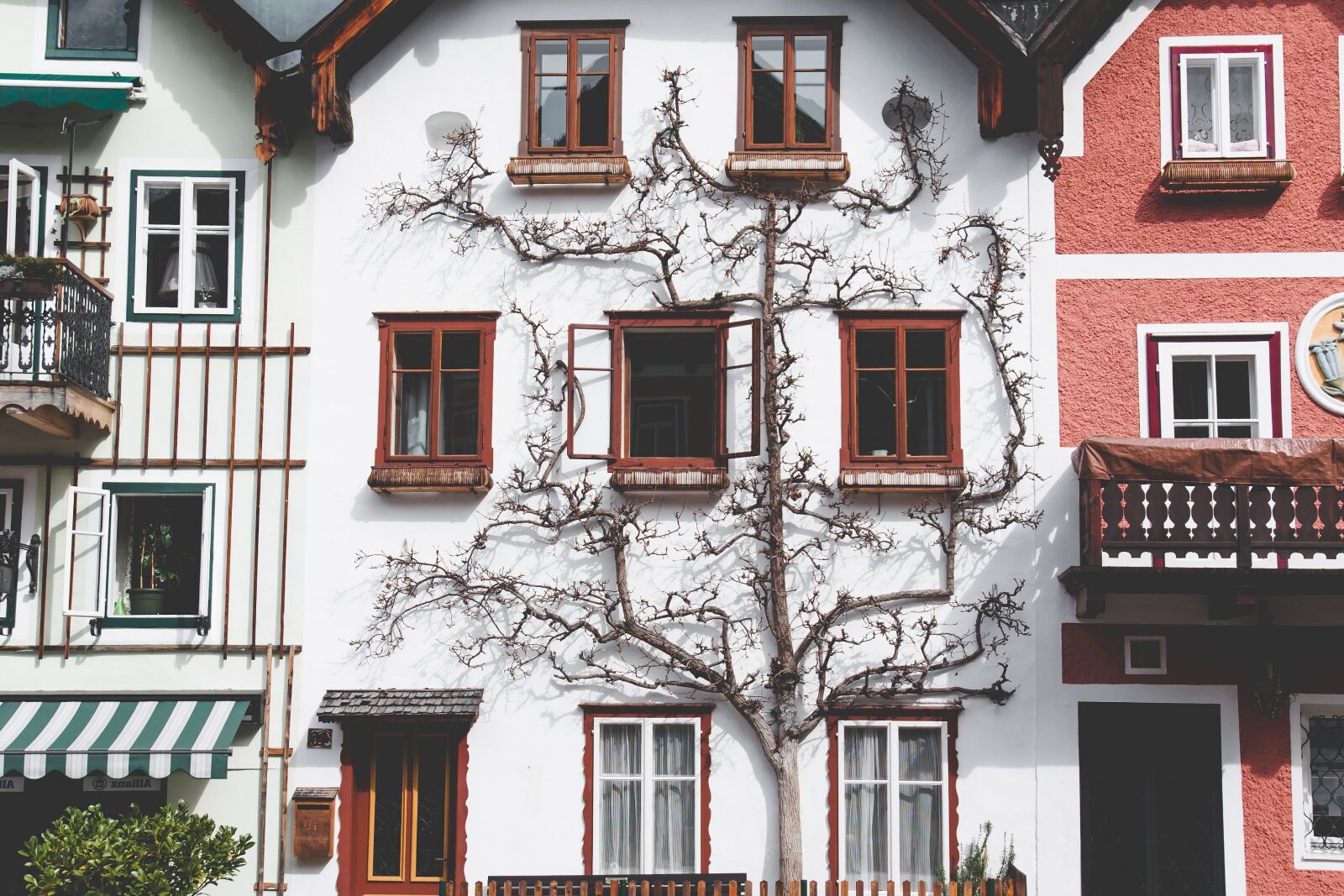 Canon EOS 40D sample photo. Houses, street, exterior, tree photography