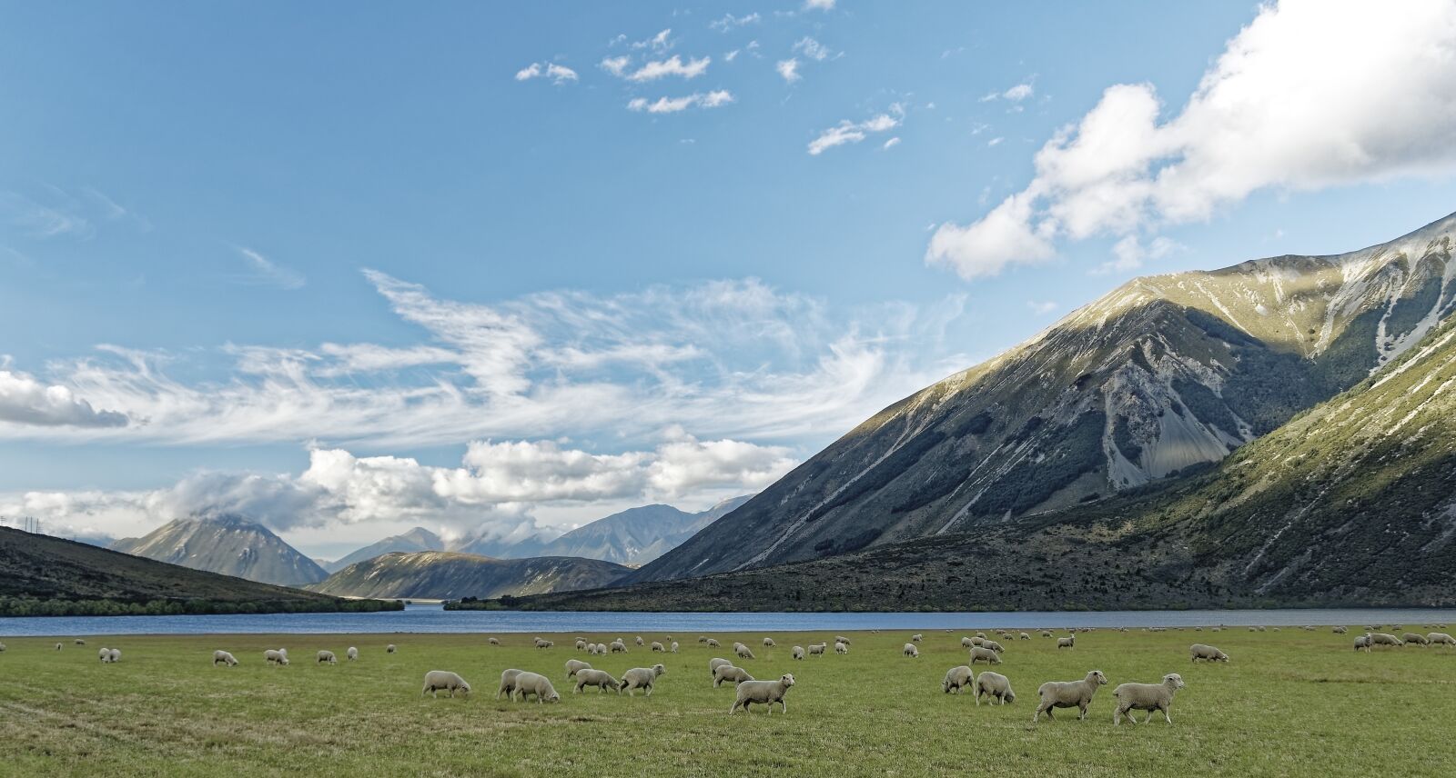 Nikon D500 sample photo. New zealand, craigieburn forest photography