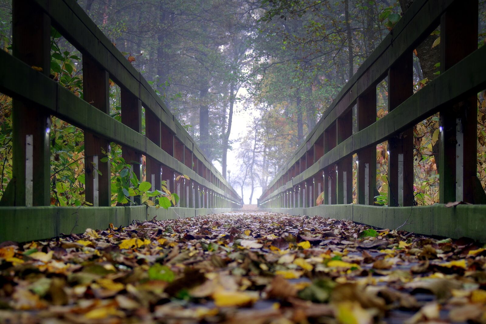 Pentax K-S2 sample photo. Bridge, wooden, the fog photography