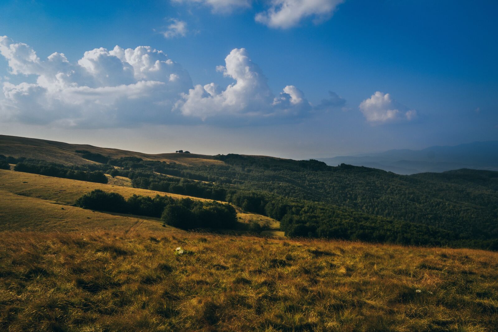 Nikon D3100 sample photo. Sky, clouds, mood photography