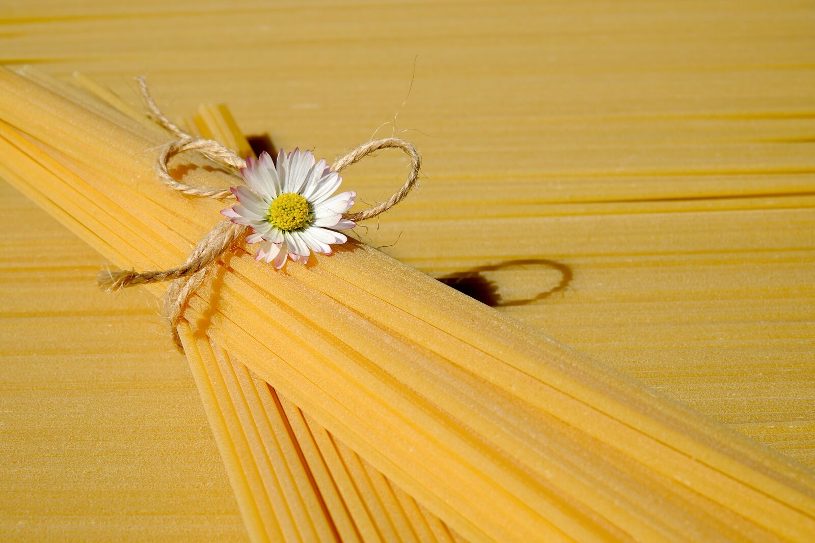 Fujifilm XF 35mm F1.4 R sample photo. Spaghetti, noodles, pasta photography