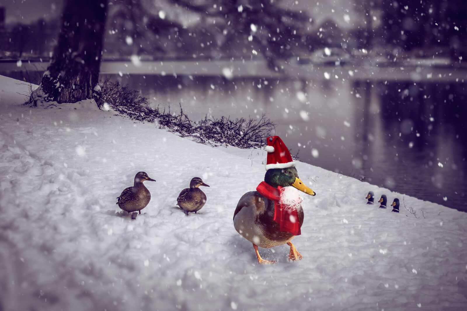 Sony FE 70-200mm F4 G OSS sample photo. Christmas, christmas duck, photomontage photography