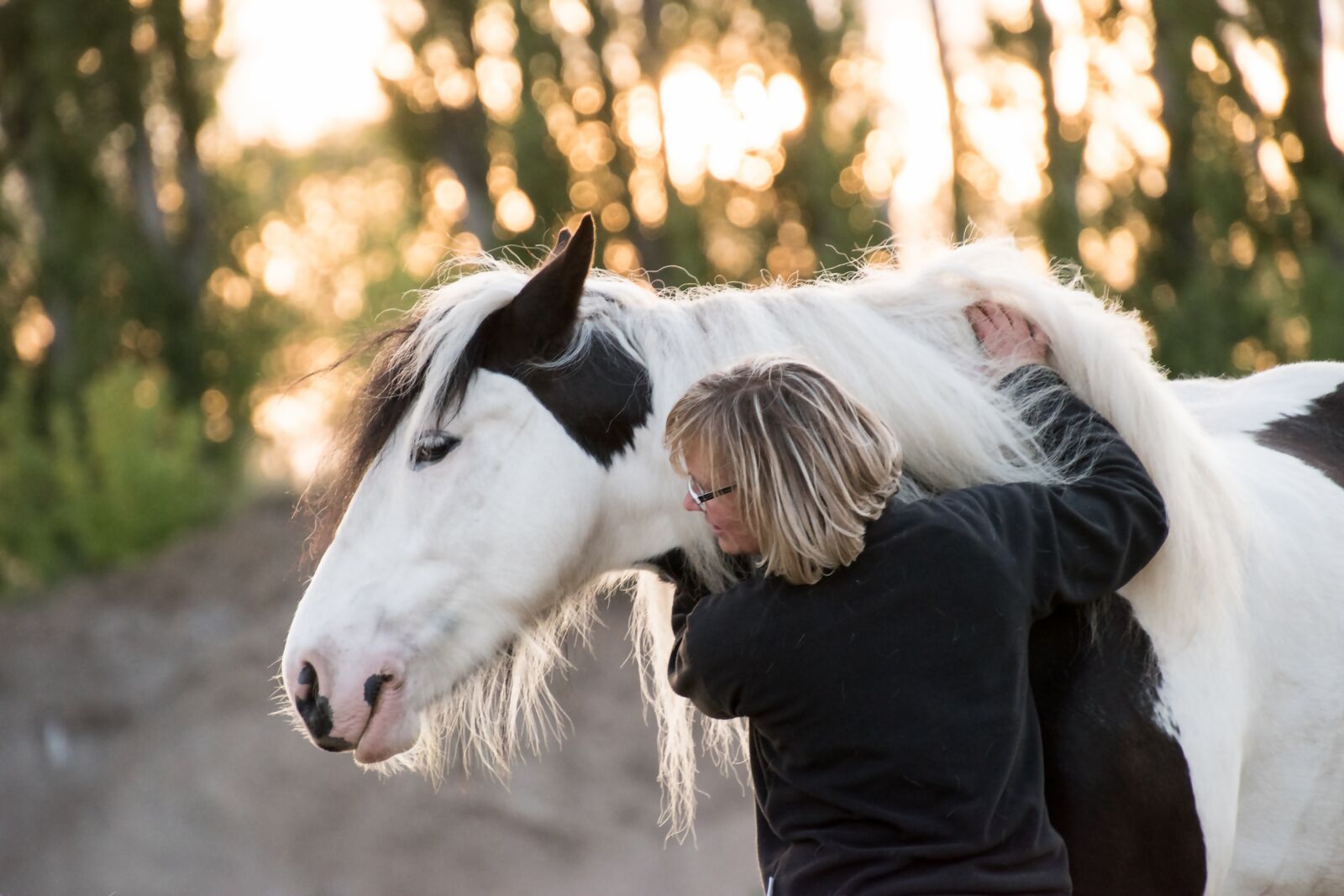 Nikon D5600 sample photo. Tinker, horse, portrait photography