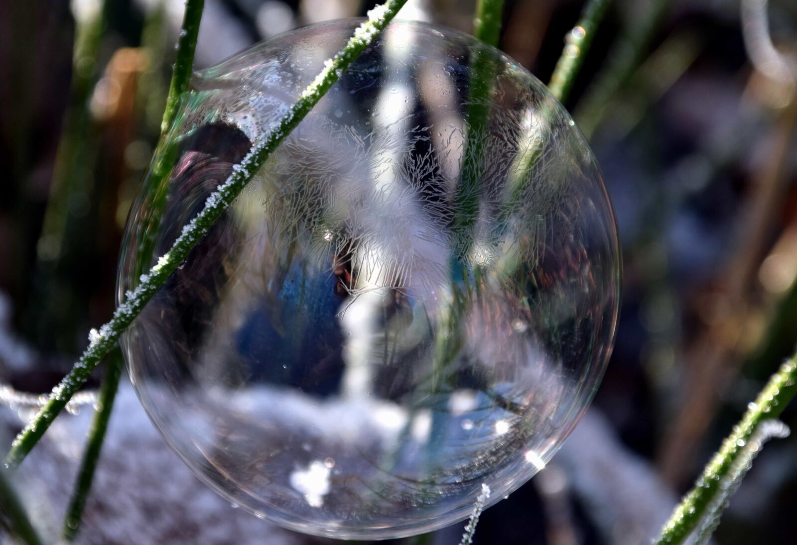 Nikon D3300 sample photo. Nature, winter, snow, sphere photography