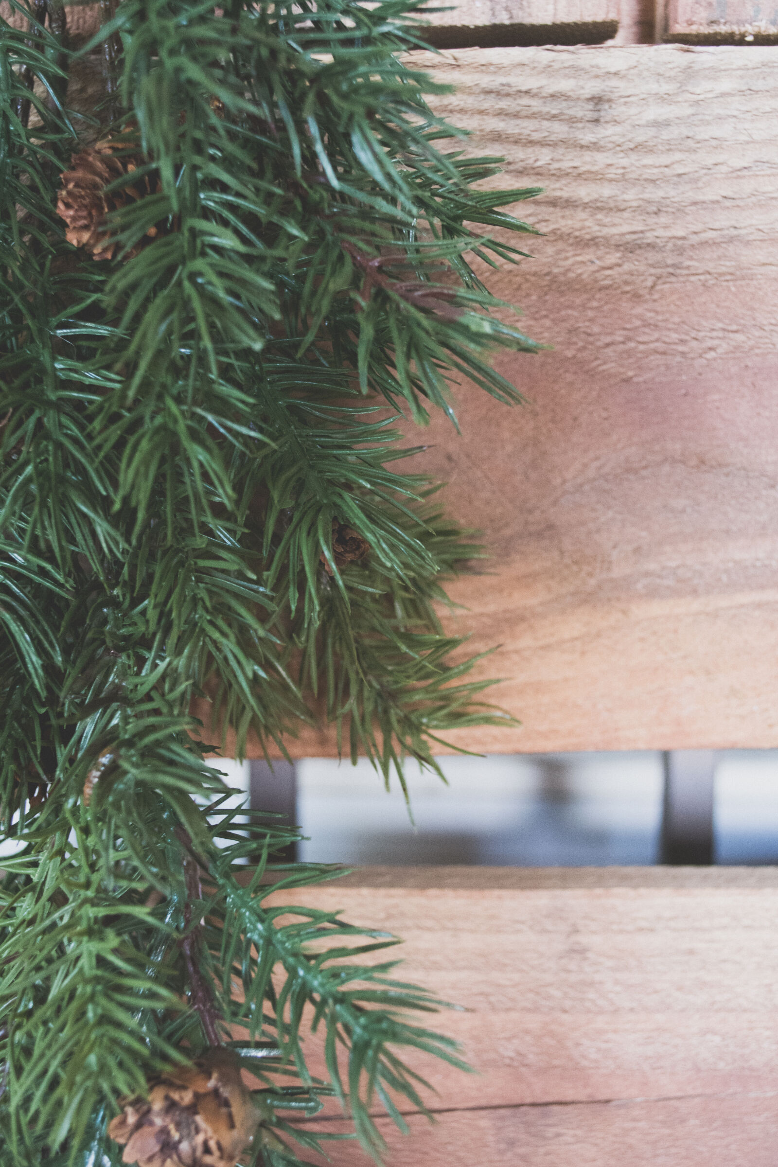 Nikon D5200 sample photo. Background, pine, winter, wood photography
