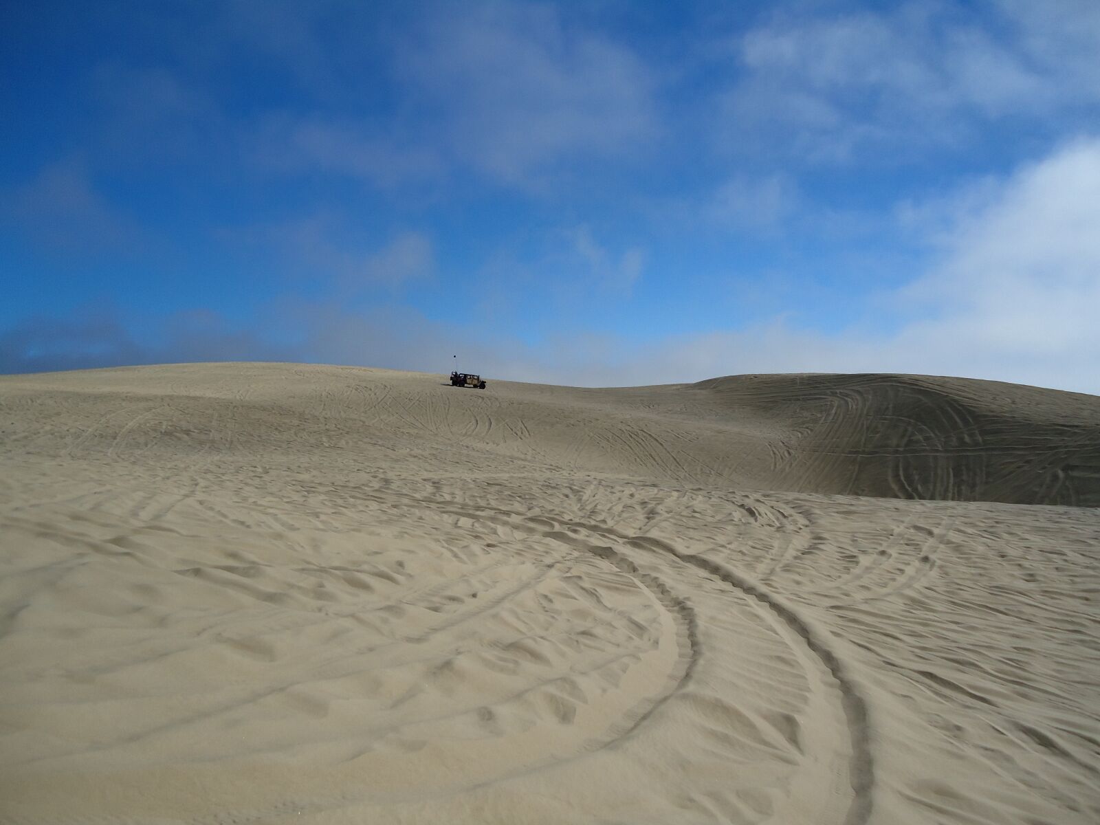 Sony Cyber-shot DSC-W330 sample photo. Pismo, dunes, california photography