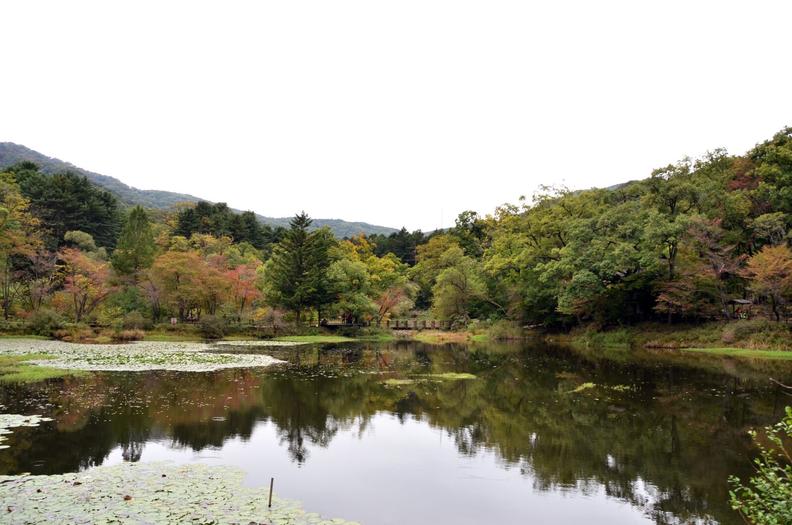 Nikon D7000 sample photo. Arboretum, lake, nature photography