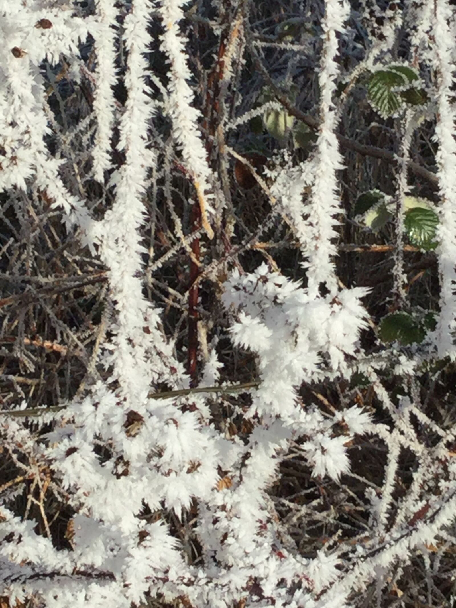 Apple iPad Air 2 sample photo. Frozen, crystals photography