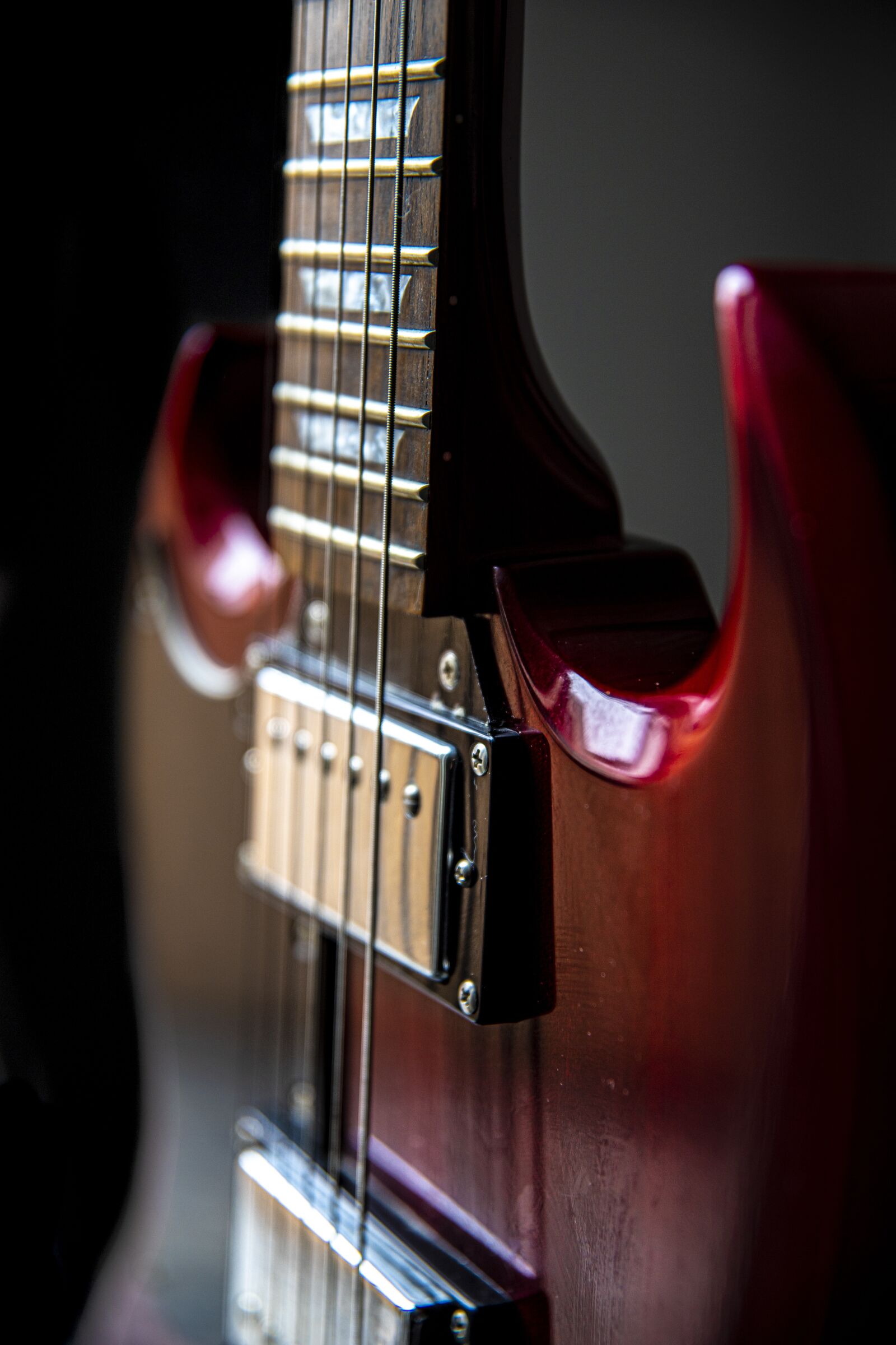 Canon 24-70mm F2.8 DG OS HSM | Art 017 sample photo. Close up, guitar, head photography