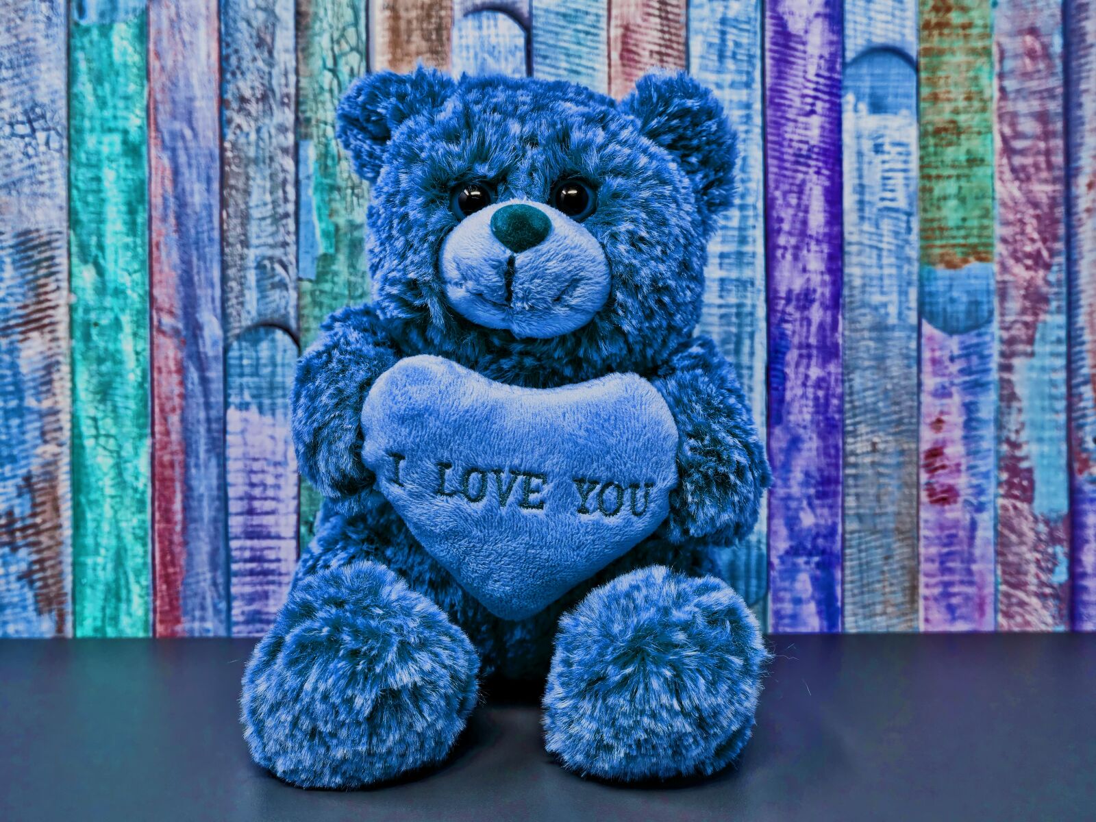 Sony DSC-RX100M5 sample photo. Teddy, love, romance photography