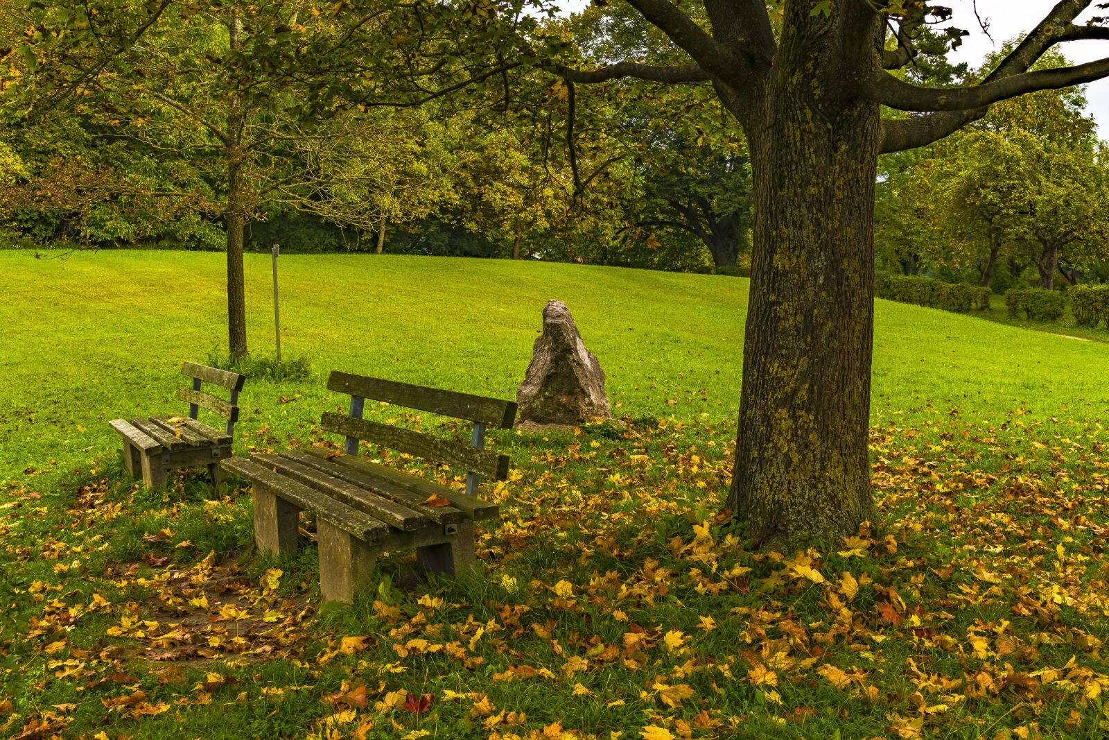 Sony a6300 + Sigma 30mm F2.8 EX DN sample photo. Bank, autumn, resting place photography