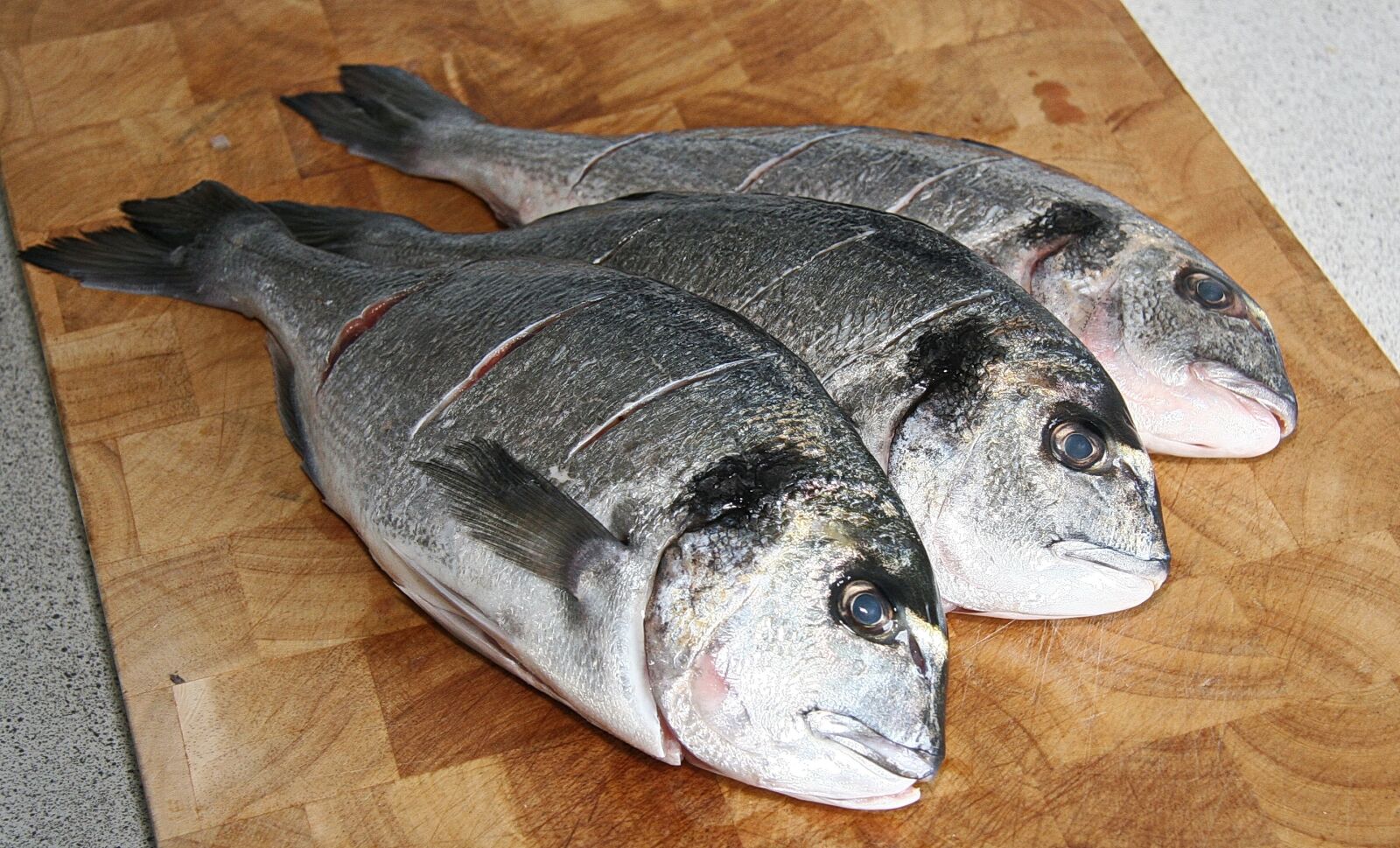 Canon EOS 20D sample photo. Dourado, fish, mediterranean photography