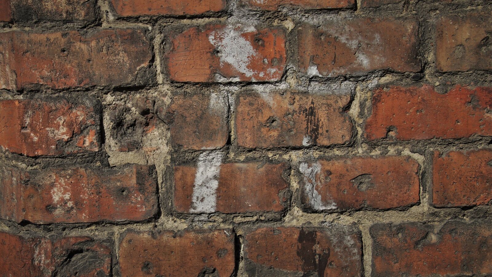Canon EOS 80D sample photo. Brick wall, brick, walls photography