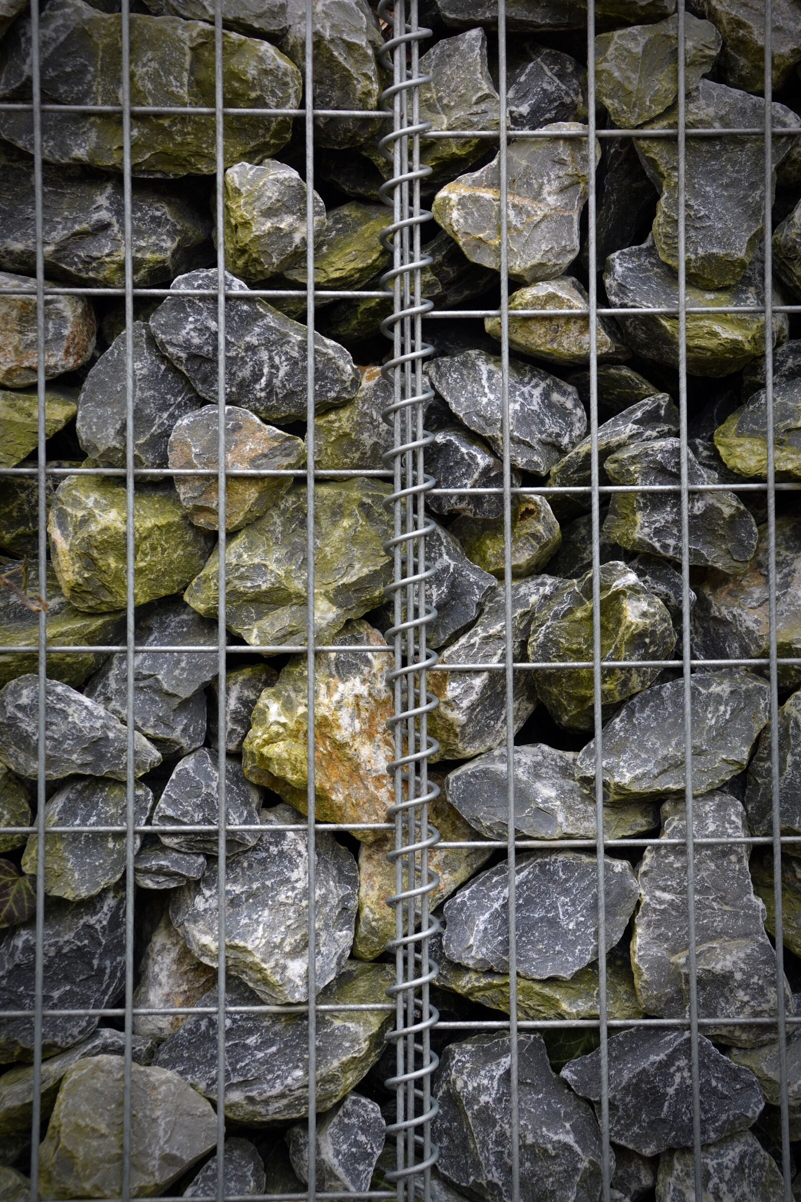 Nikon D5200 sample photo. Nature, pattern, background photography