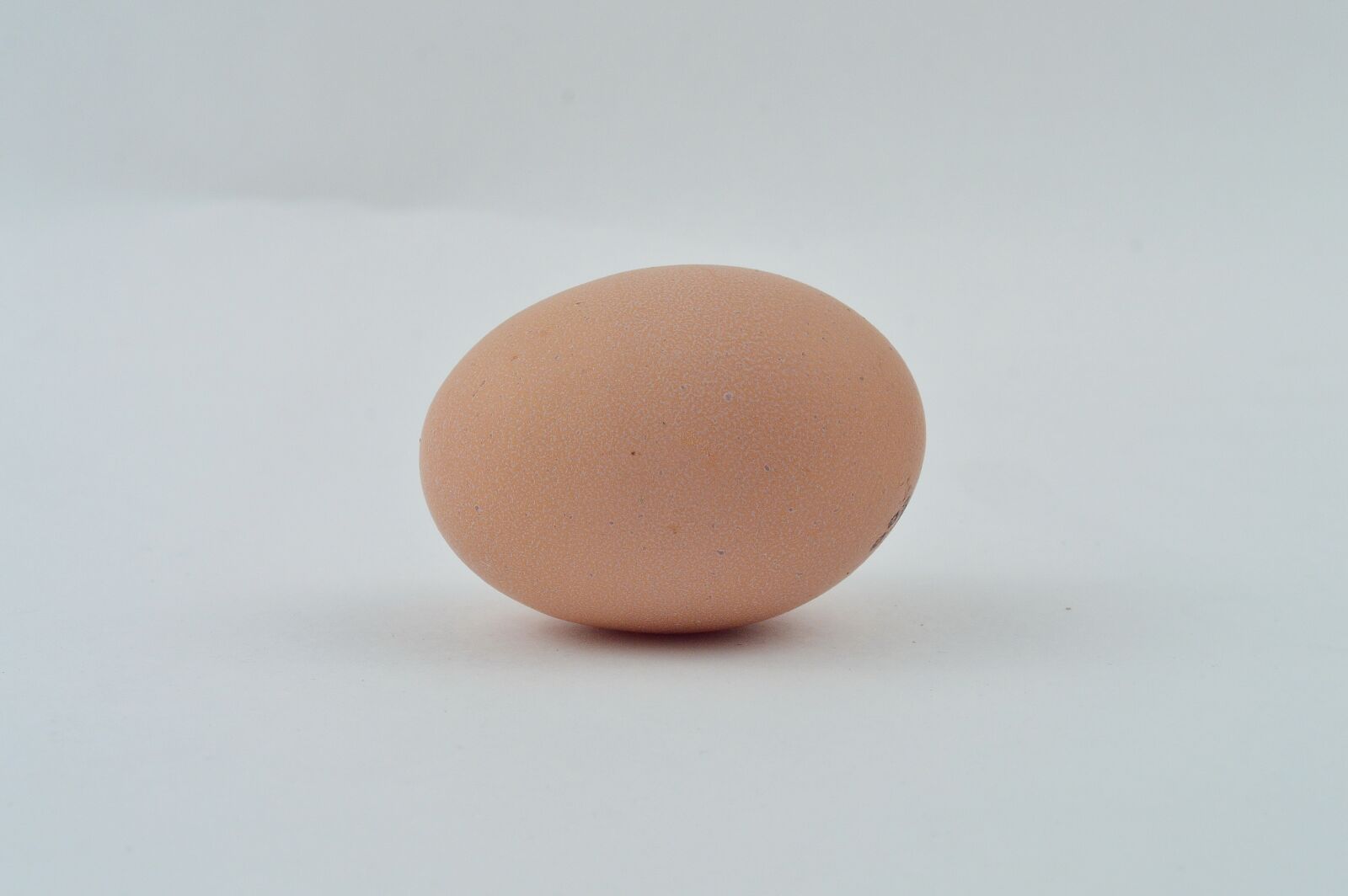Nikon D3200 sample photo. Egg, chicken, food photography