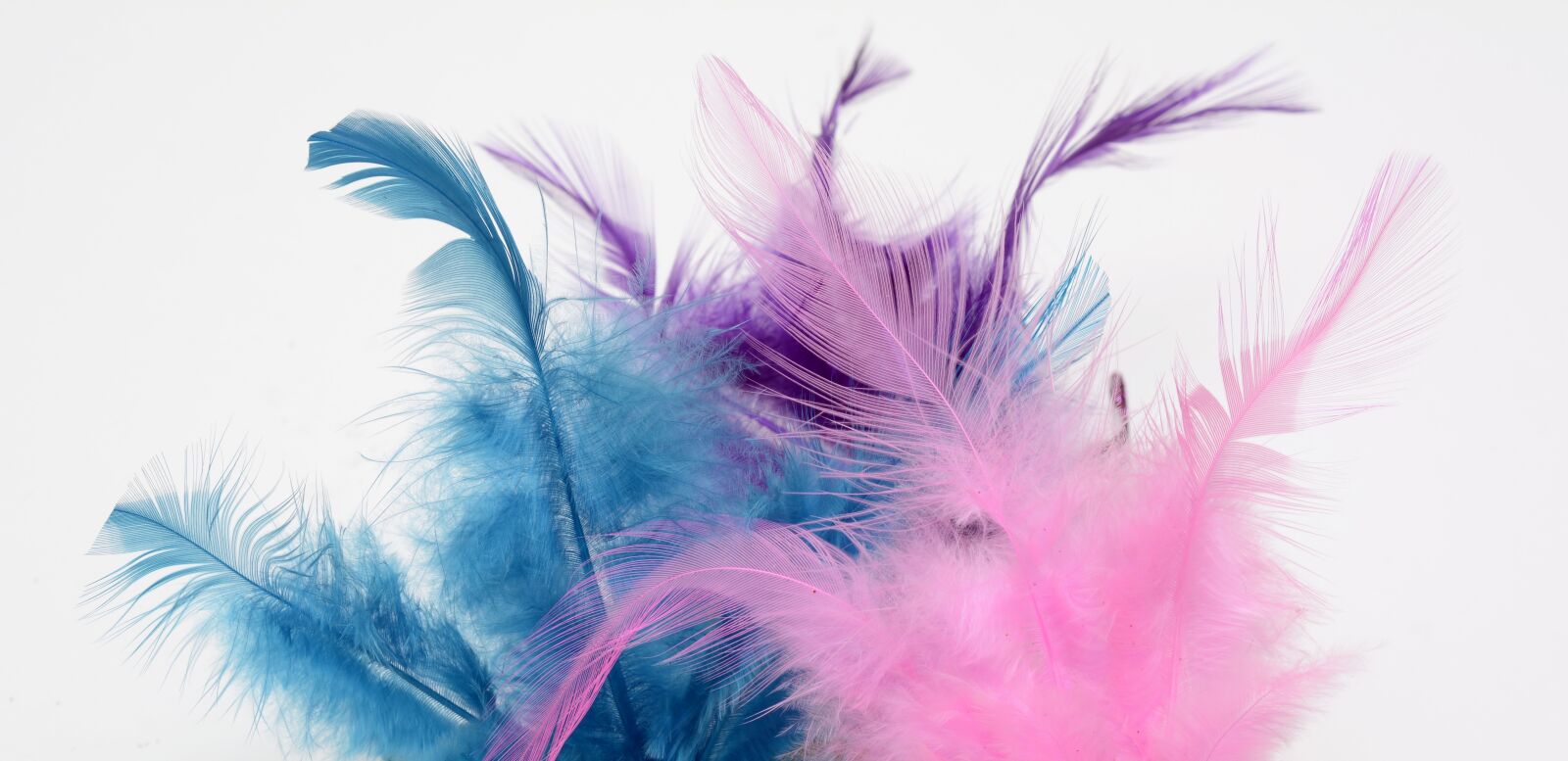 Nikon D7100 sample photo. Feather, fluffy, slightly photography