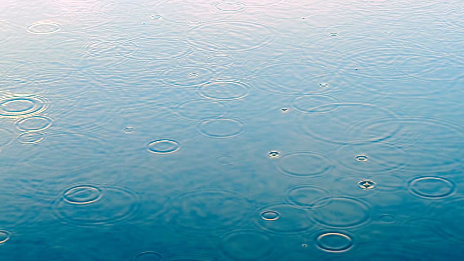 Sony a7 II sample photo. Raindrop, puddle, rain photography