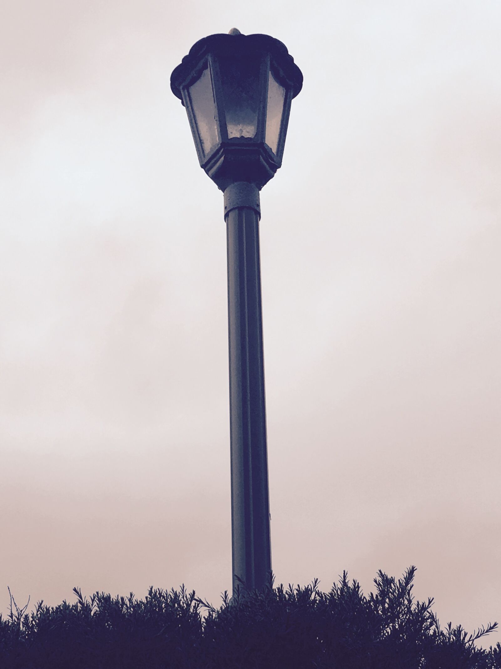 Apple iPhone 6s Plus sample photo. Lamp, light, decorative photography