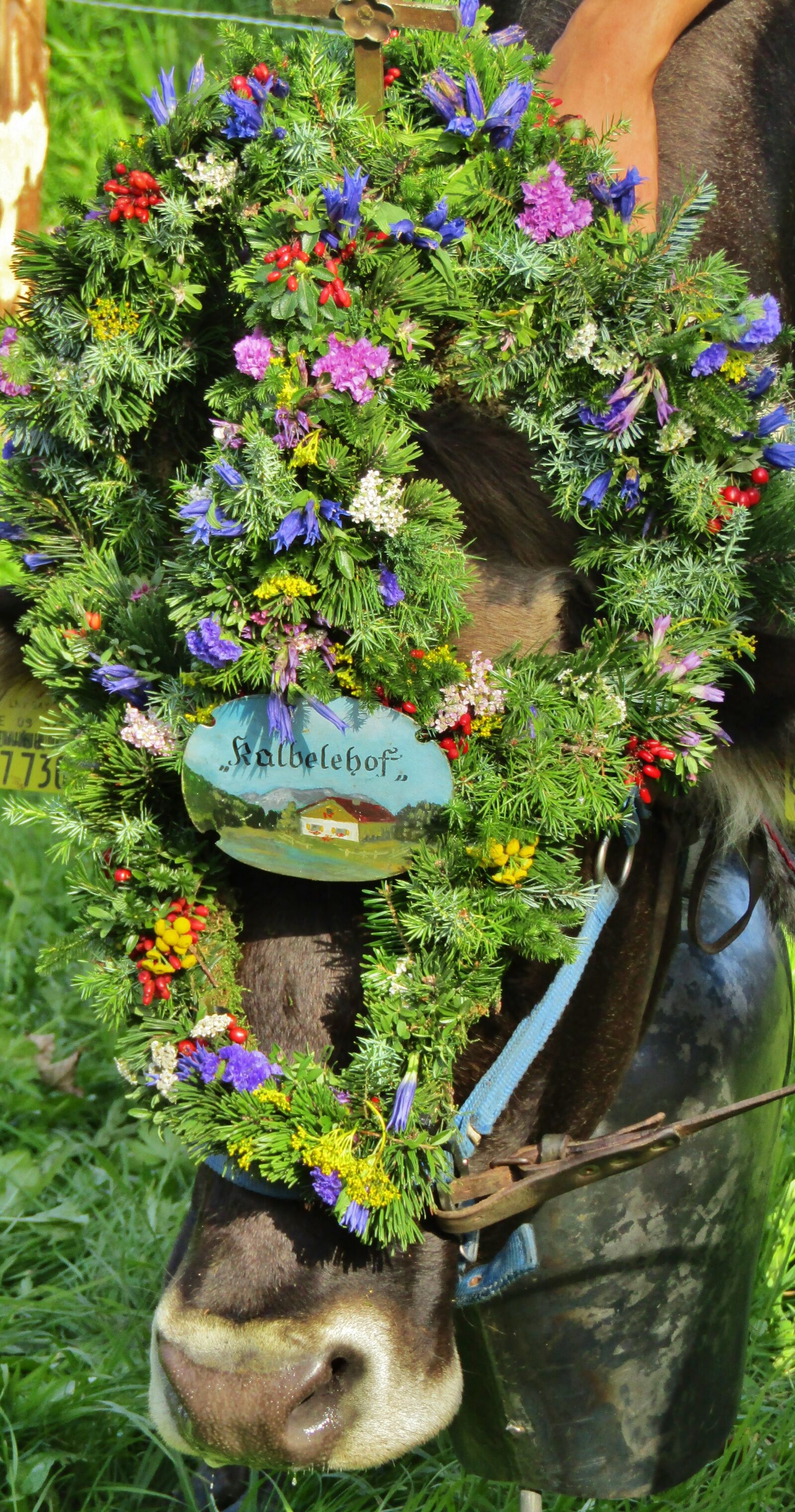 Canon POWERSHOT SX432 IS sample photo. Viehscheid, tradition, headdress photography