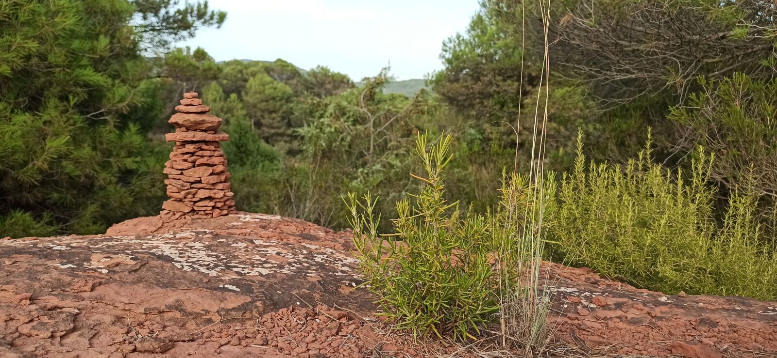 Xiaomi Redmi Note 8 Pro sample photo. Dry stone, landmark, nature photography